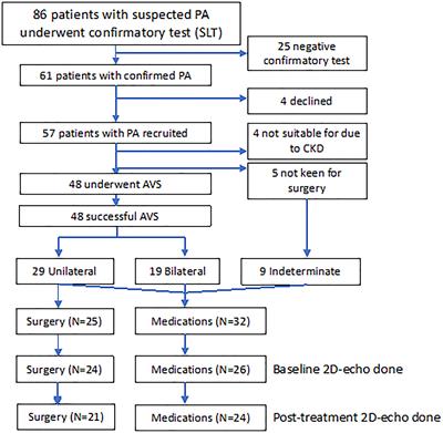 Treatment of Primary Aldosteronism and Reversal of Renin Suppression Improves Left Ventricular Systolic Function